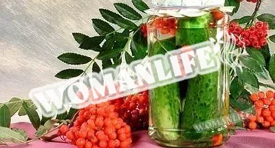 Пряна горобина для святкового застілля