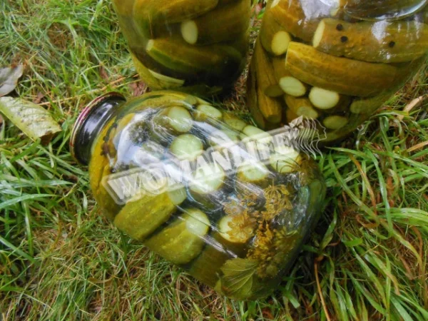 Мариновані огірки як в магазині на зиму