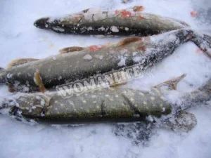 Крок 1.