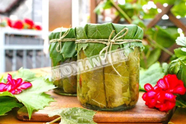 Виноградне листя для долми на зиму
