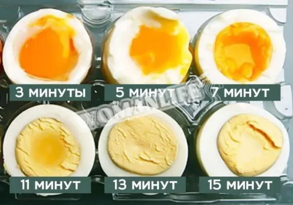 Як і скільки варити яйця в пароварці