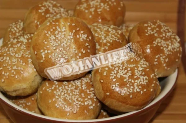 Самса ледачий