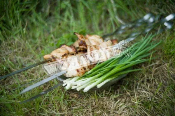 Курячий шашлик на пиві з молоком