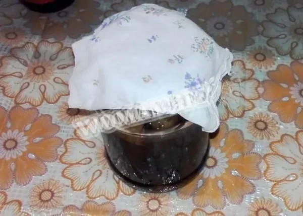 Закваска для квасу з березовим соком