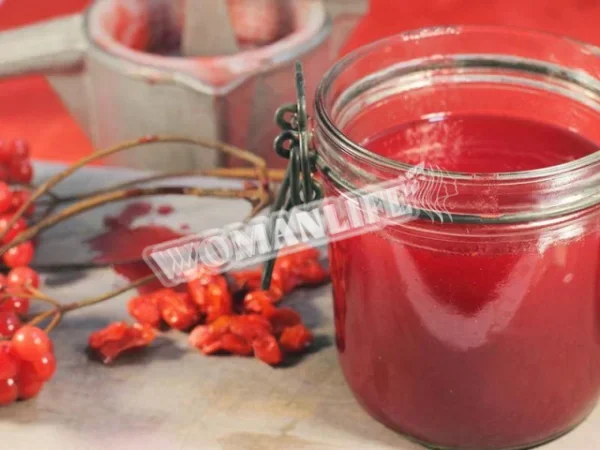 Сік калини на зиму