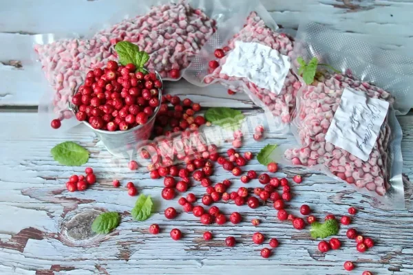 Домашня заморожена брусниця