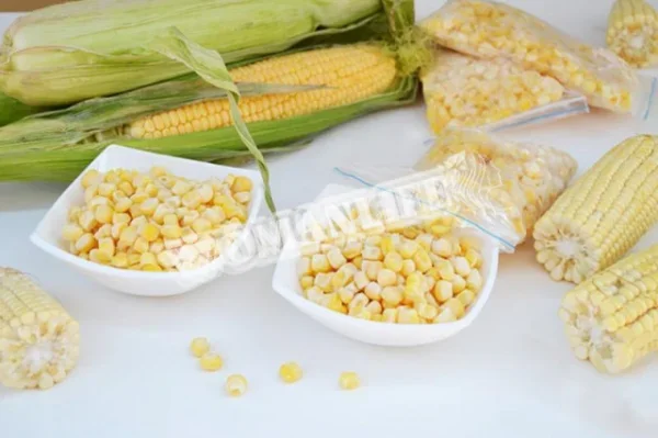 Заморожування зерна кукурудзи на зиму