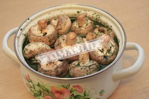 Мариновані шампіньйони для шашлику
