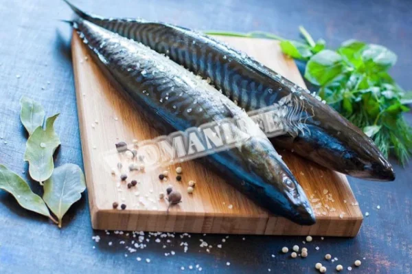 Засолювання скумбрії для копчення