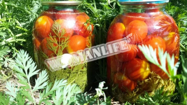 Помідори з бадиллям і лавровим листом на зиму