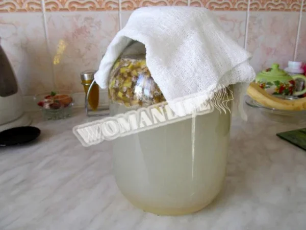 Квас з березового соку з сухофруктами