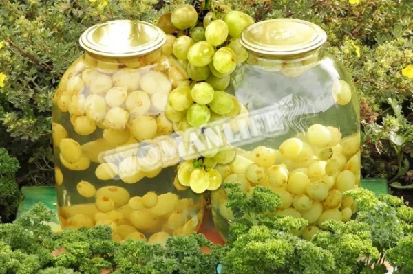 Компот з білого винограду