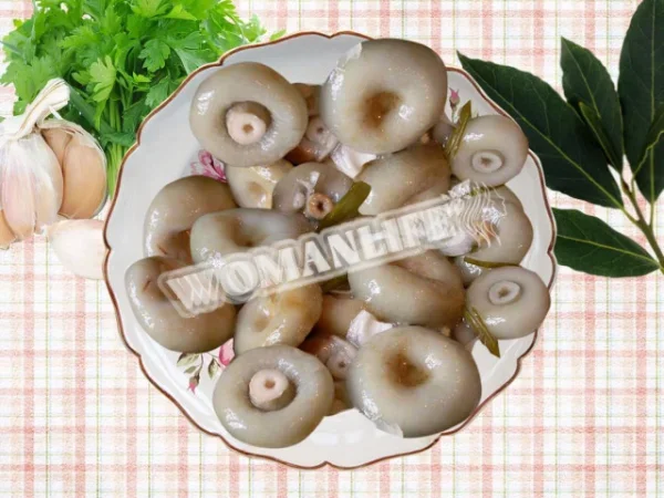 Волнушки гарячого солення