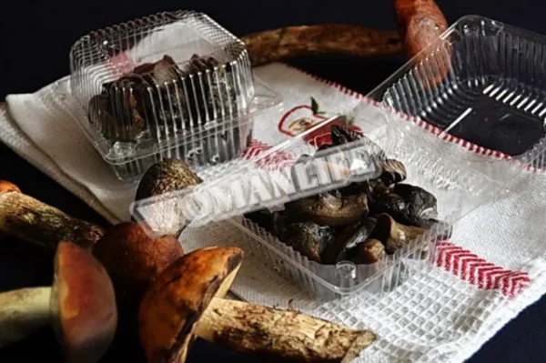 Боровики на зиму