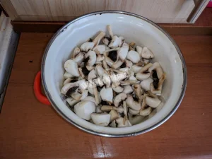 Крок 1.