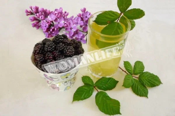 Чай з шовковиці