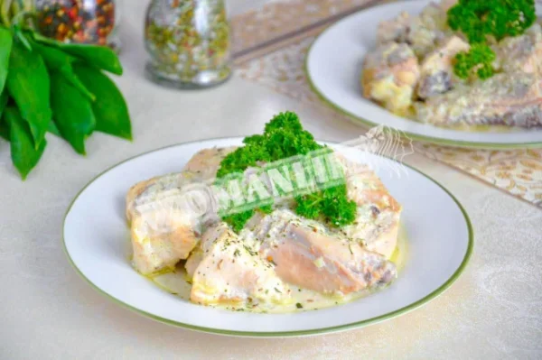 Куряча гульчехра