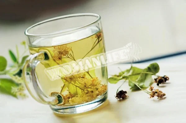 Квіти липи для схуднення