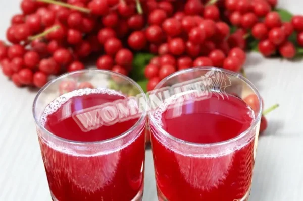 Компот з лимонника