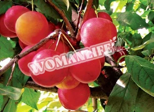 Компот з аличі на зиму