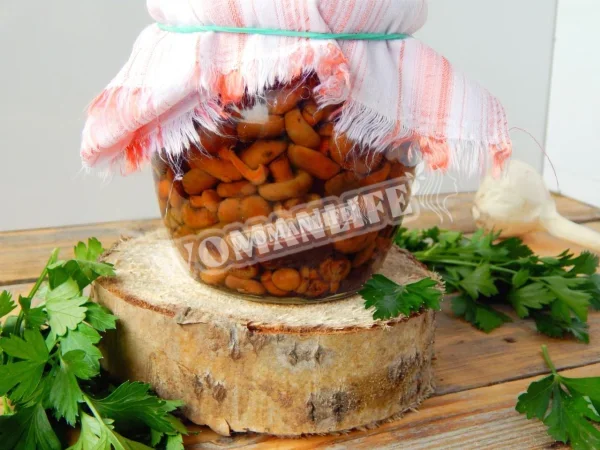 Гарячі мариновані шафранки на зиму