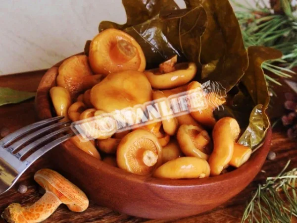 Шапки маринованого шафрану простий рецепт