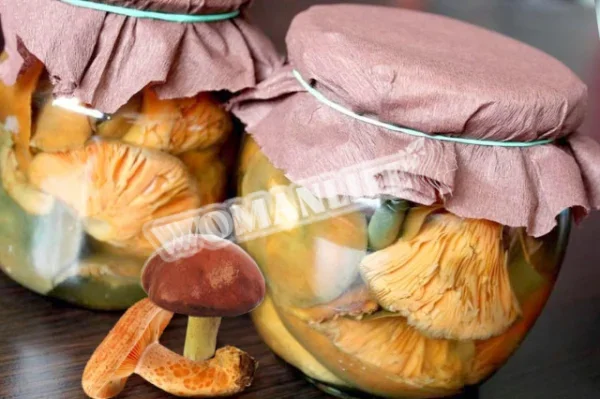 Мариновані шафранки та боровики