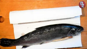 Крок 1.