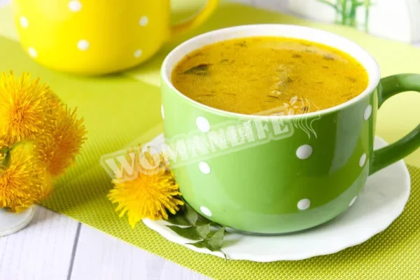 Суп з курячого шлунка