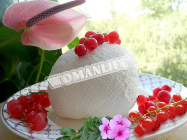 Сир в йогуртниці