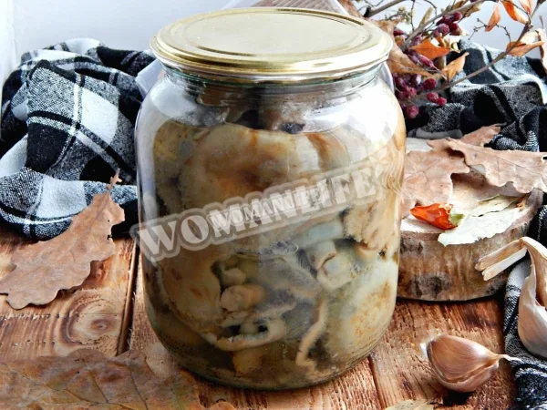Як засолити молочні гриби на зиму