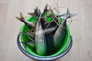 Крок 5.