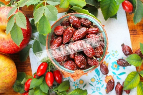 Як сушити шипшина в духовці