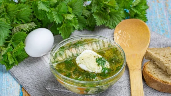 Курячий суп з овочами і молодою кропивою