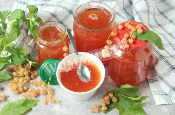 Желе з білої смородини на зиму