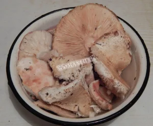 Крок 2.