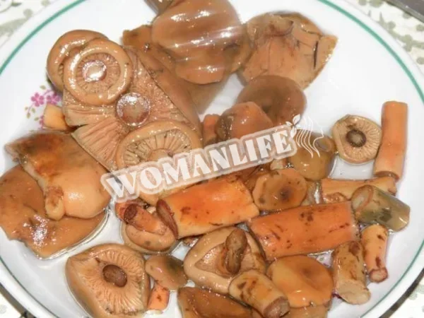 Гриби, мариновані на зиму
