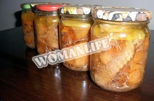 Домашня тушкована качка