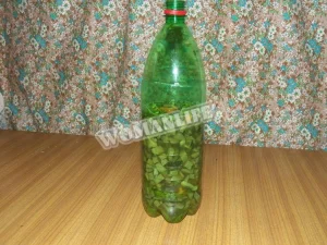 Крок 16