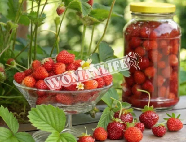 Компот з лісової суниці на зиму