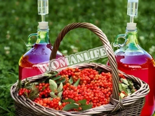 Домашнє вино з калини